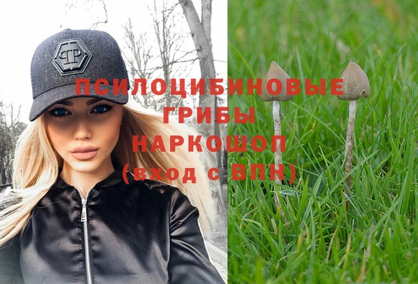 метадон Арсеньев