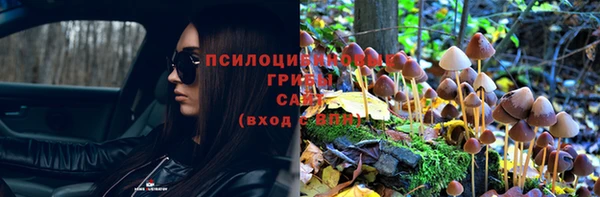 спиды Аркадак