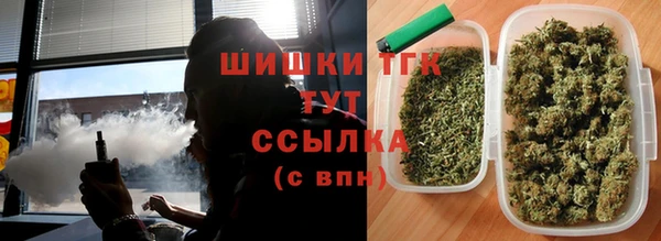 дживик Заводоуковск