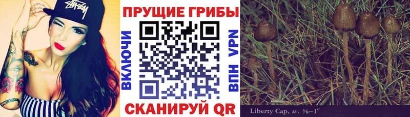 Псилоцибиновые грибы GOLDEN TEACHER  Струнино 